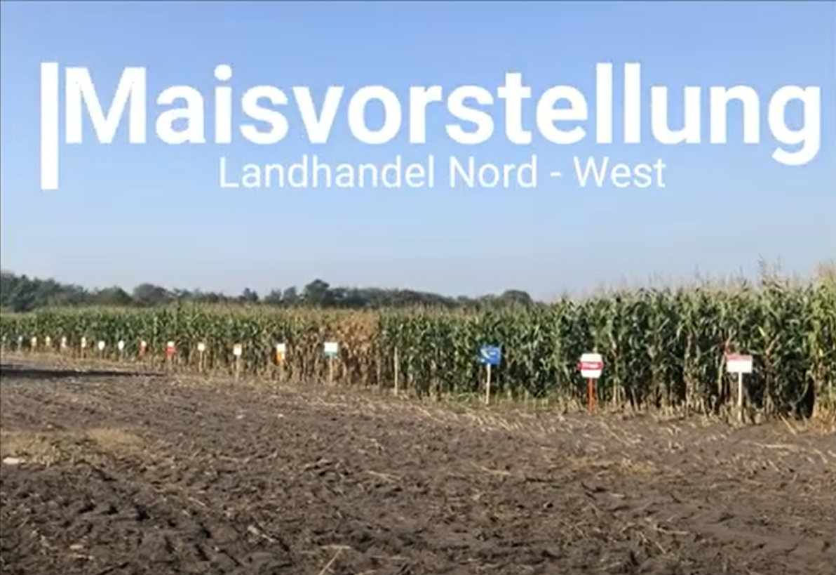 content/news/LNW Maisfeldtag 2020 online auf YOUTUBE.png